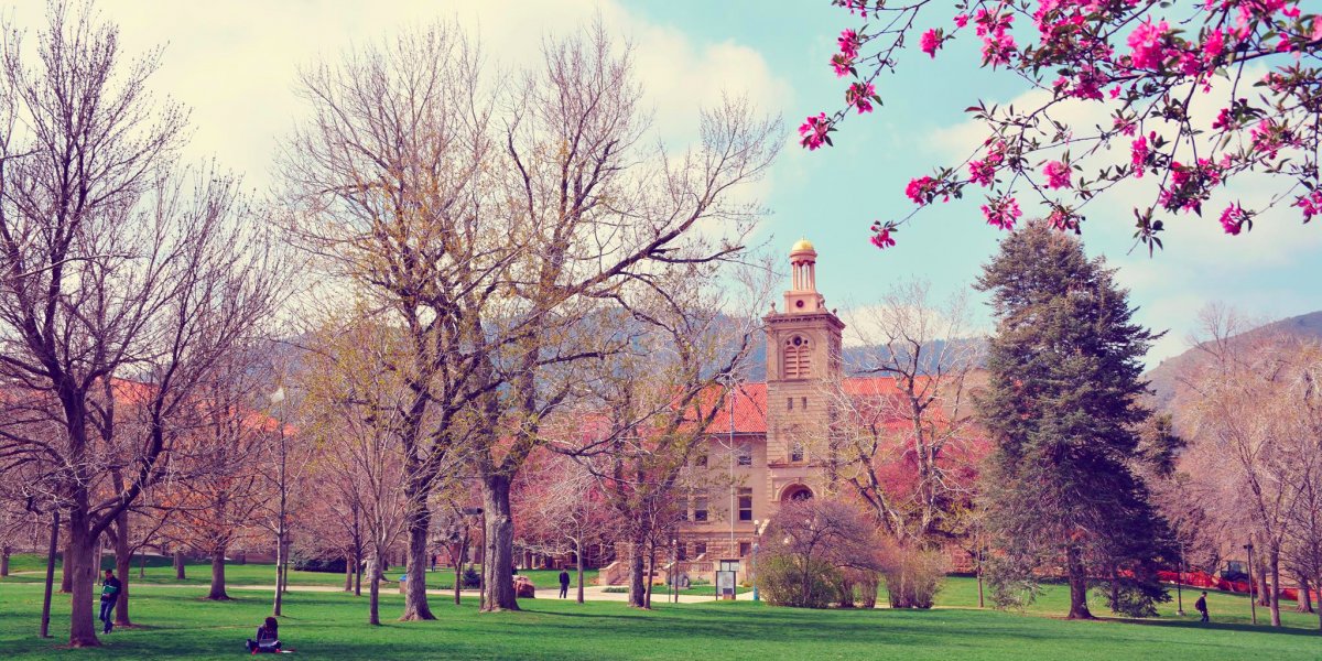 11. Colorado School of Mines (out-of-state)