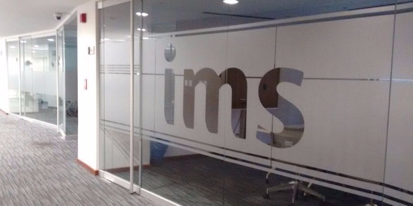 13. IMS Consulting Group