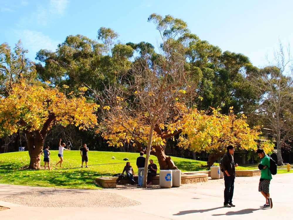 9. University of California, San Diego