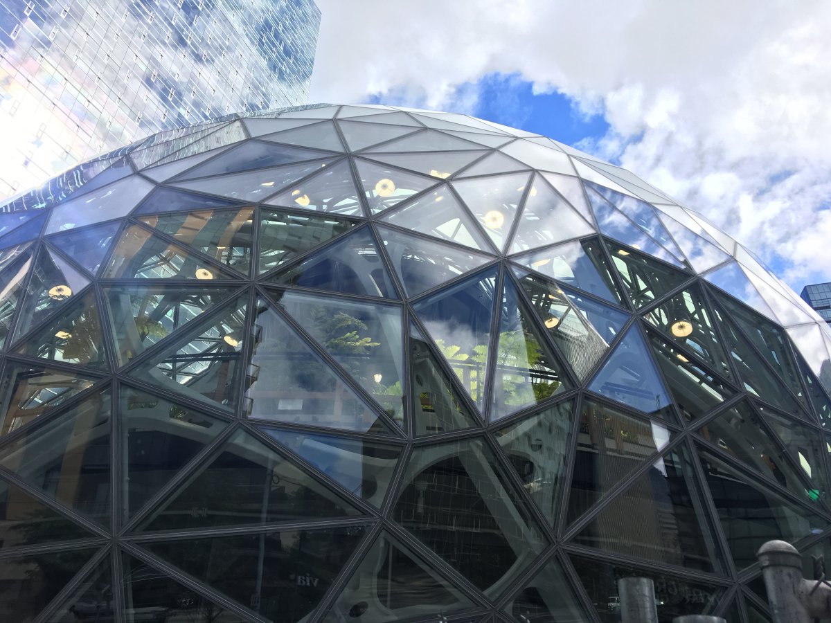 It's difficult to see with the mirrored sides, but if you squint, you can see that Amazon has started to fill the sphere with its first few plants.