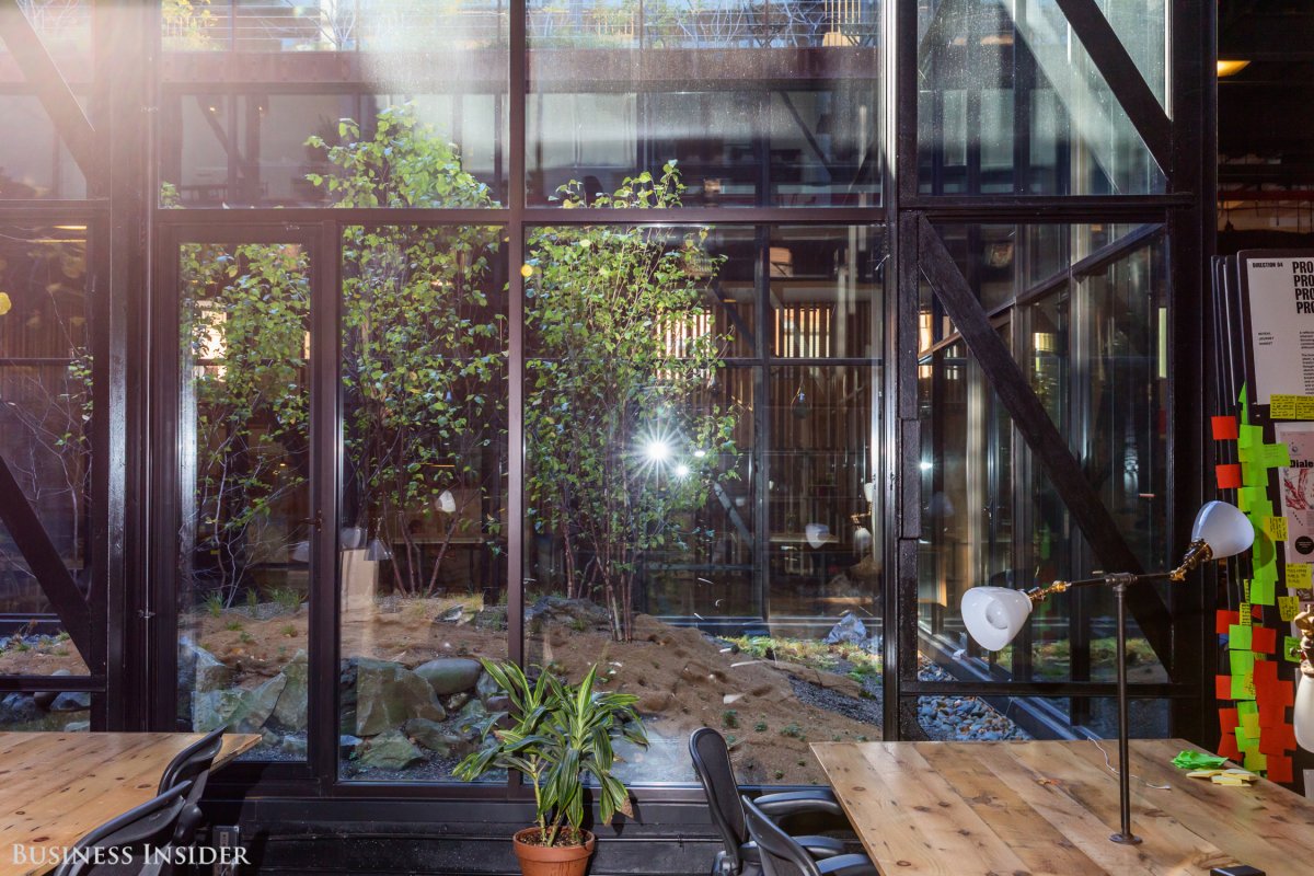 The office has its own solarium, which allows for plenty of natural light, greenery, and even a tiny river when it rains.