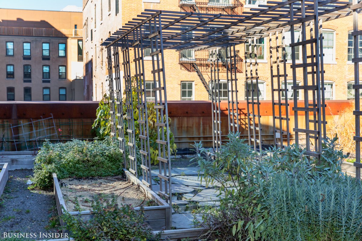 Workers also maintain a vegetable garden in one corner.