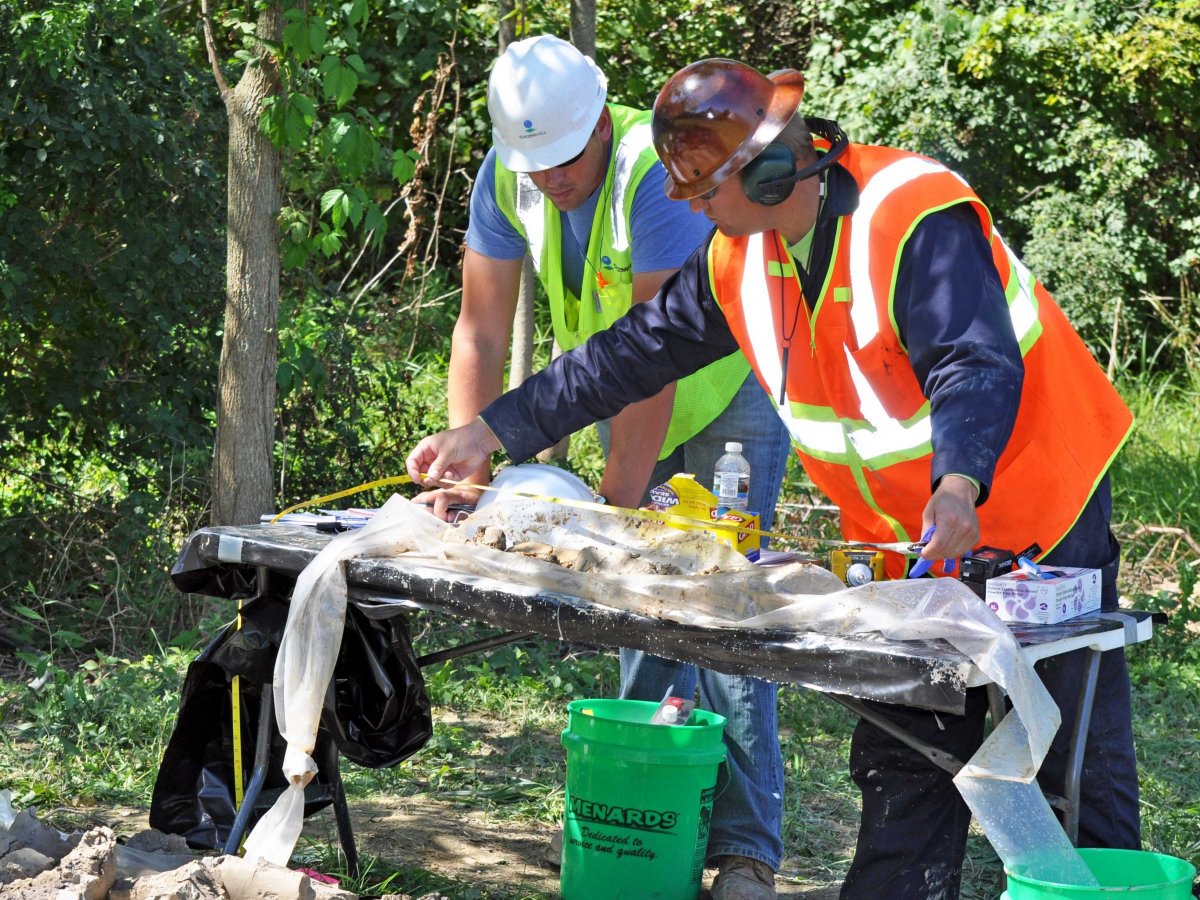 13. Environmental health and safety