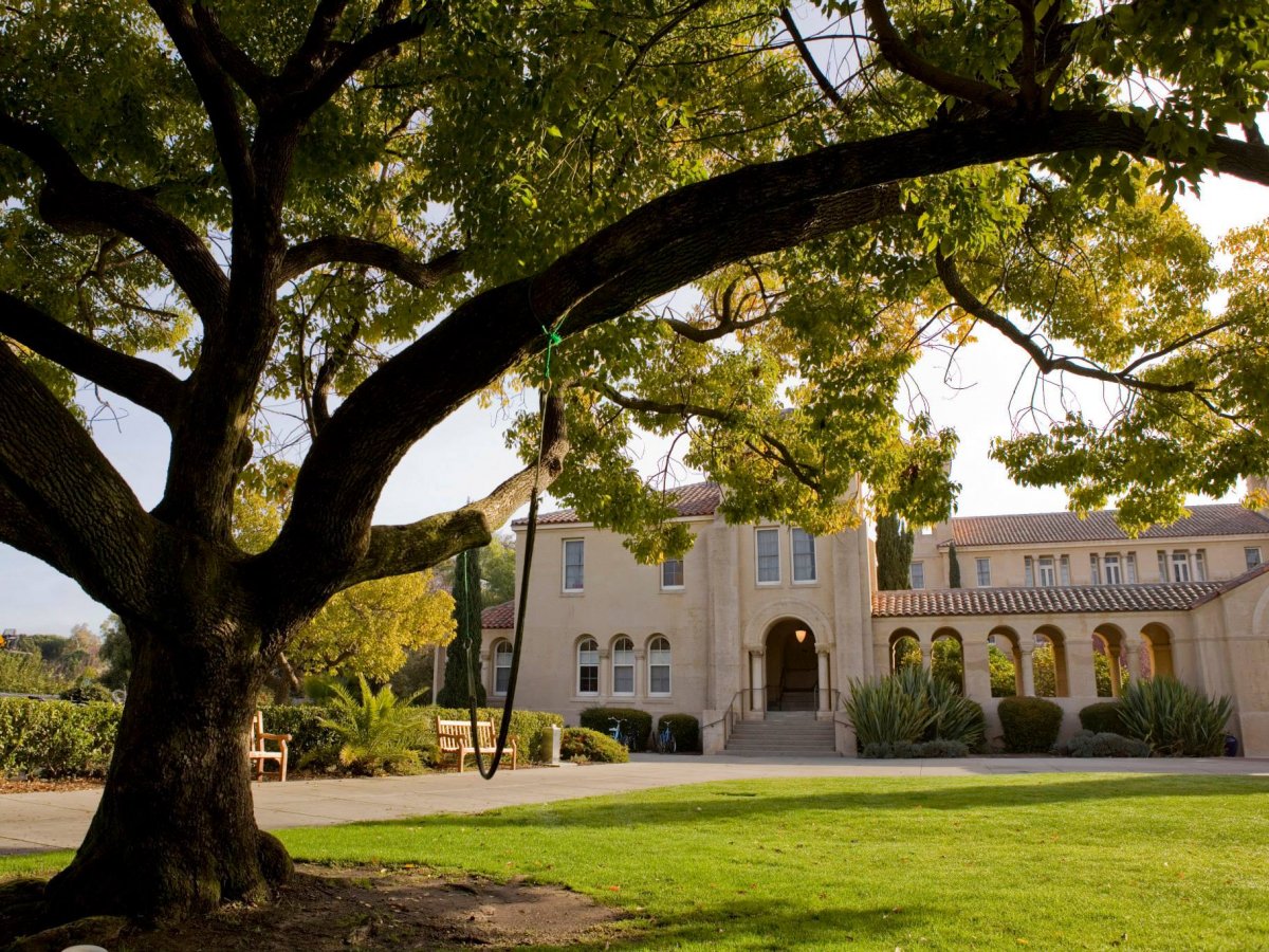 3. Stanford University