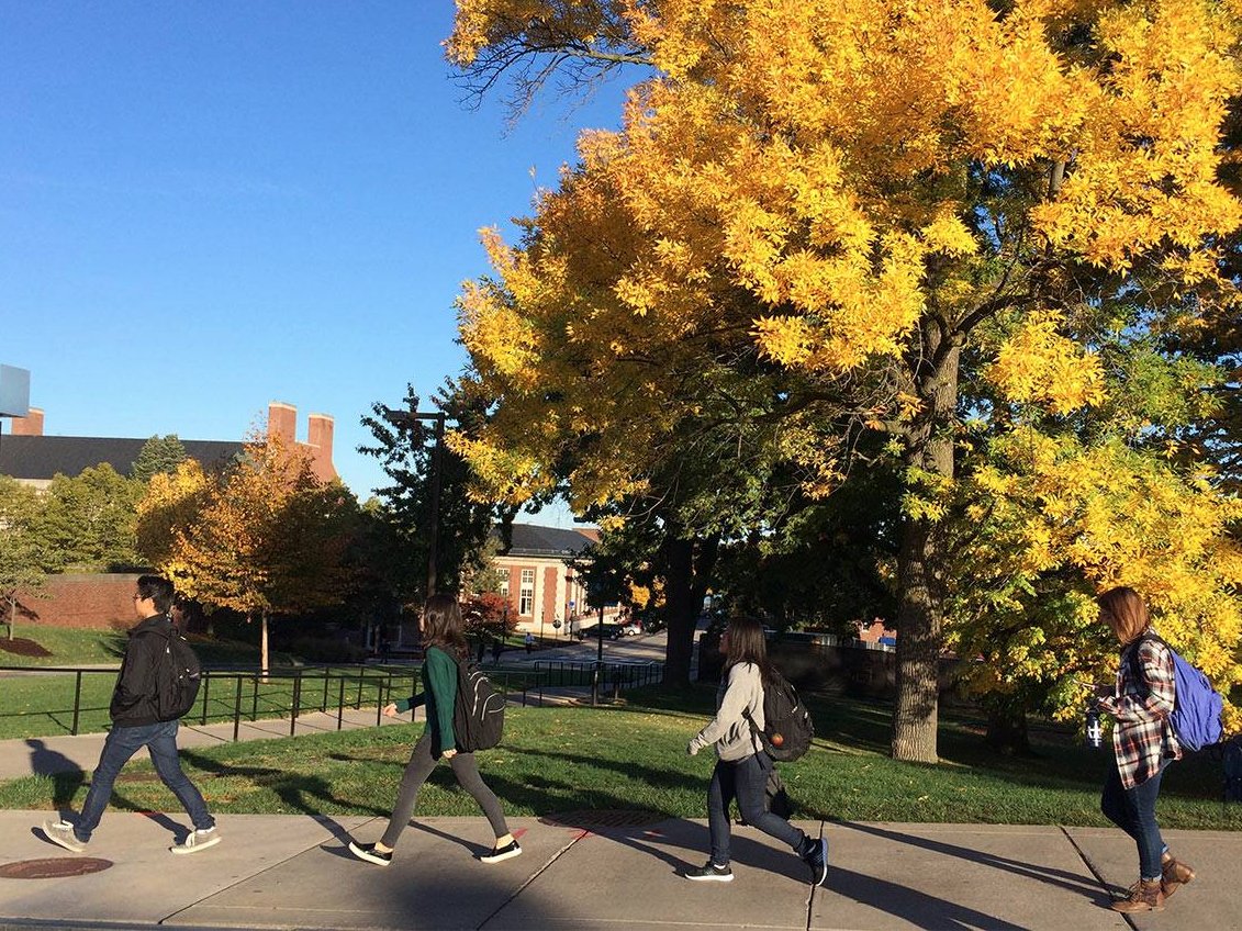 40. University of Rochester