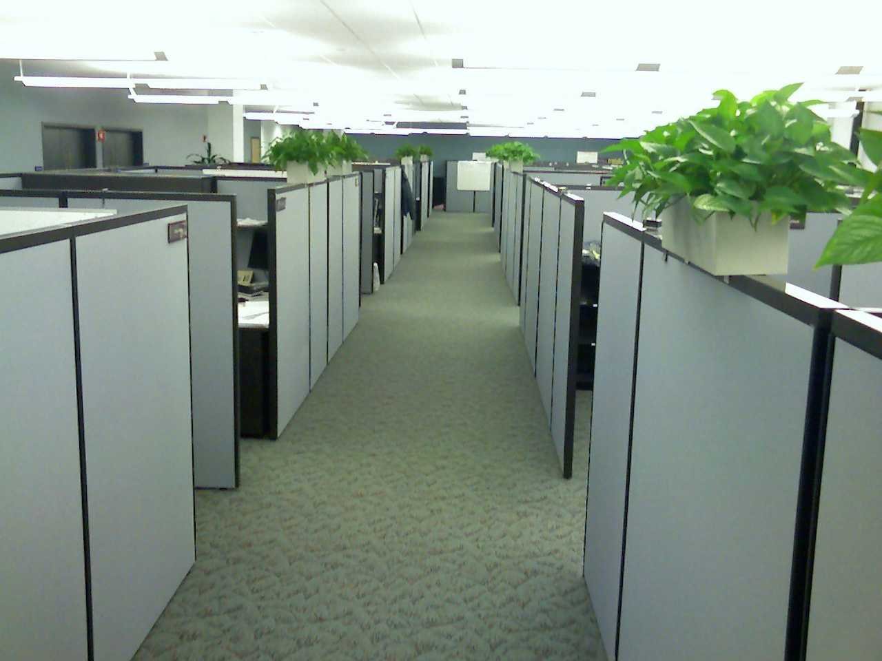 Cubicle farm