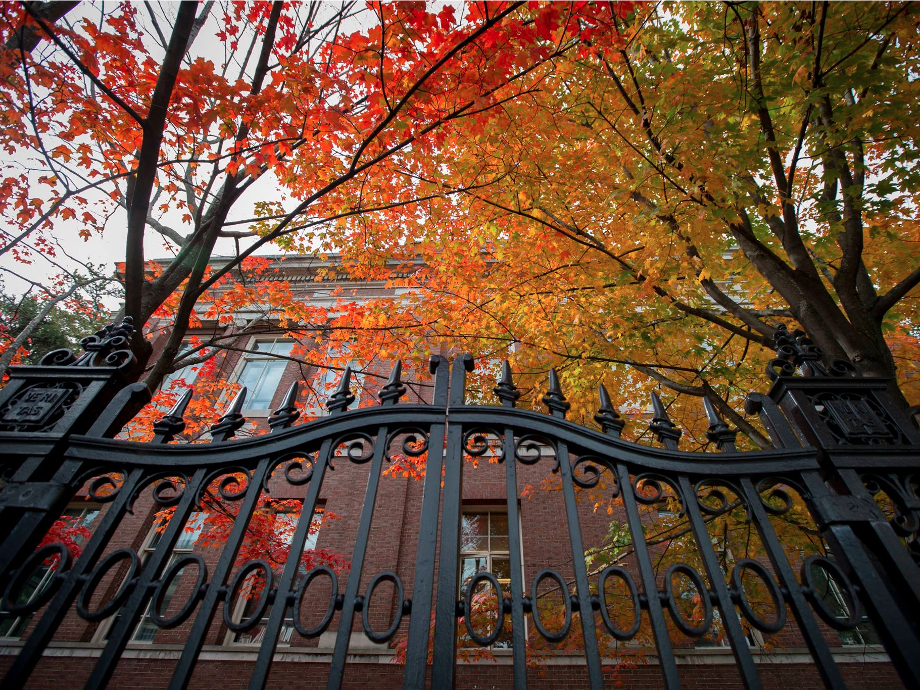 Harvard University