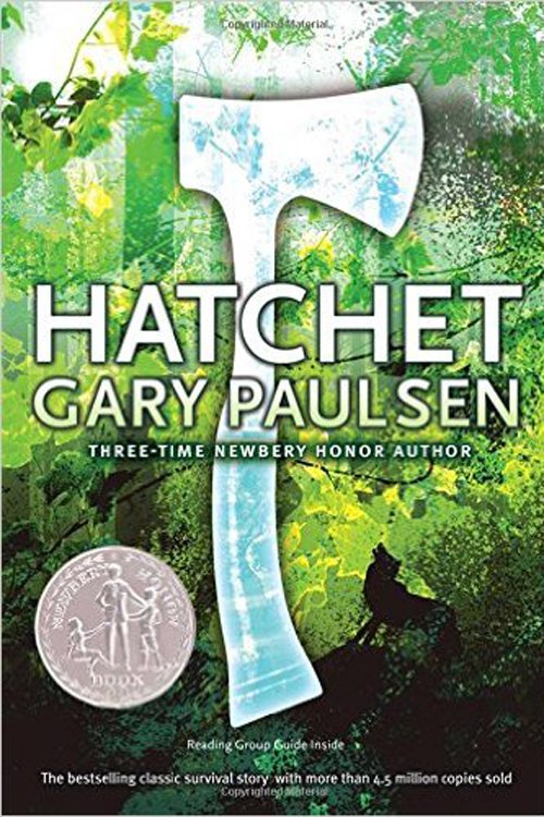 'Hatchet' bu Gary Paulsen