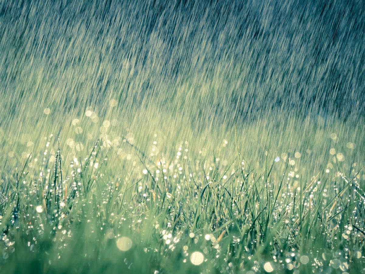 MYTH: Raindrops are tear-shaped.